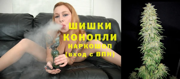 сатива Осташков