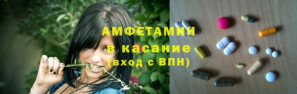 прущие грибы Осинники