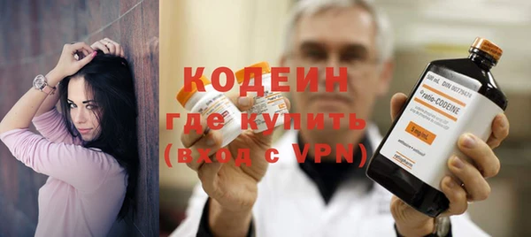 индика Пересвет