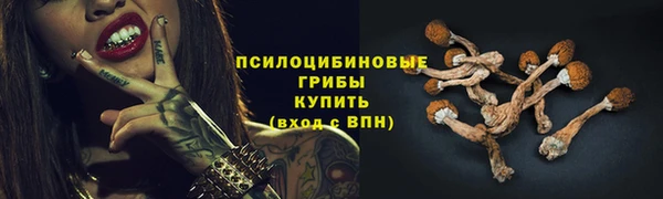 mix Нязепетровск