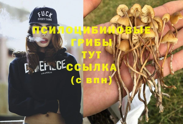 мефедрон Зеленодольск