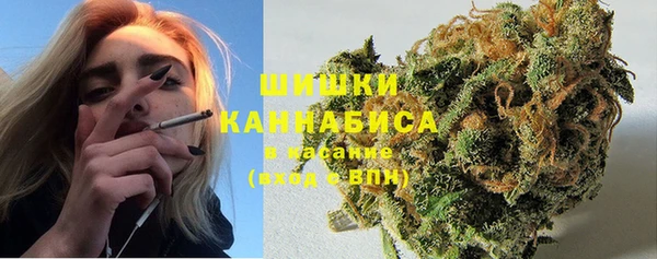 ГАЛЛЮЦИНОГЕННЫЕ ГРИБЫ Остров
