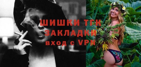 прущие грибы Осинники