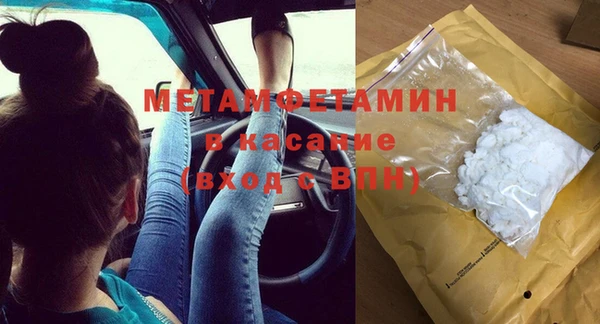 прущие грибы Осинники